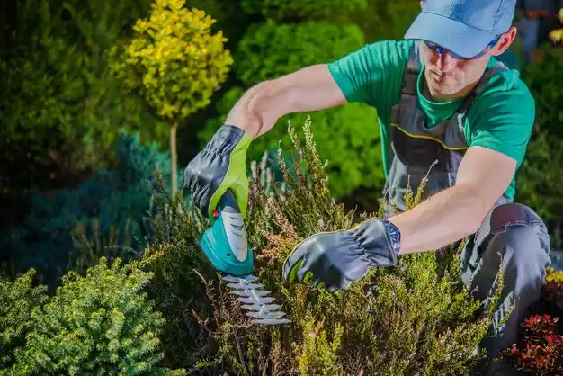 landscaping services Murray